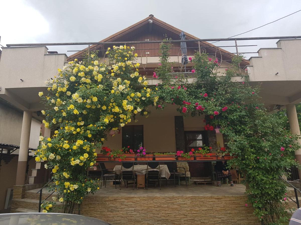 Casa Delia Hotel Călimăneşti Eksteriør billede