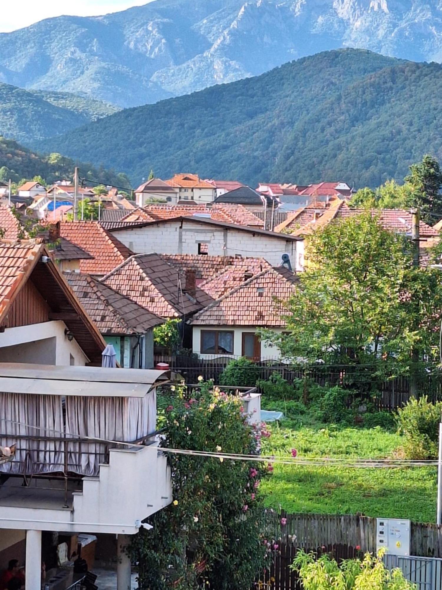 Casa Delia Hotel Călimăneşti Eksteriør billede