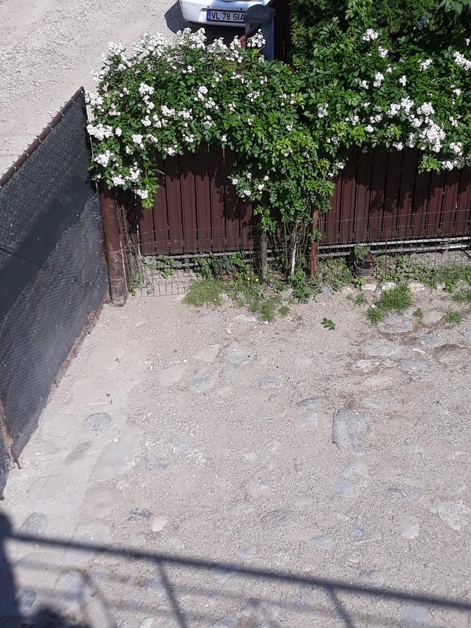 Casa Delia Hotel Călimăneşti Eksteriør billede